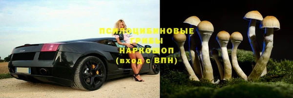спиды Беломорск